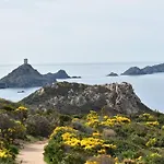Ajaccio Splendide Vue Mer