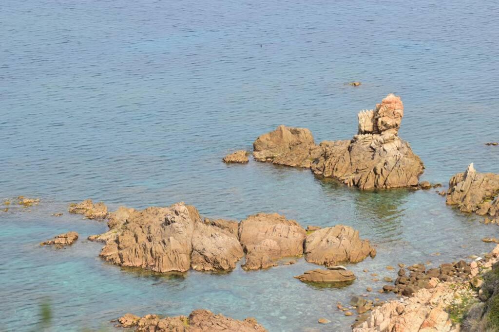 Ajaccio Splendide Vue Apartment *