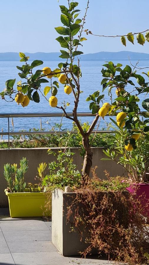 Apartment Ajaccio Splendide Vue